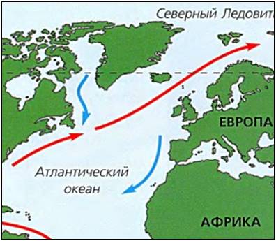 На фигурата са показани две от големите течения в Атлантическия океан Кои са те
